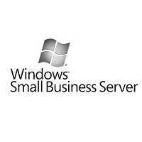 windows-small-business-servercolor-min
